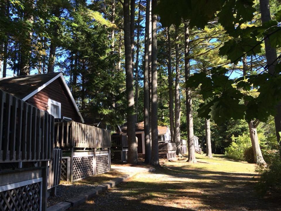 Pine Grove Cottages Lincolnville Exterior photo