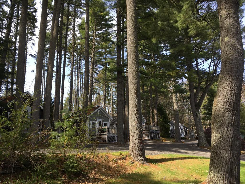 Pine Grove Cottages Lincolnville Exterior photo